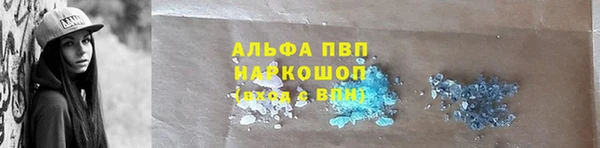 прущий лед Абаза