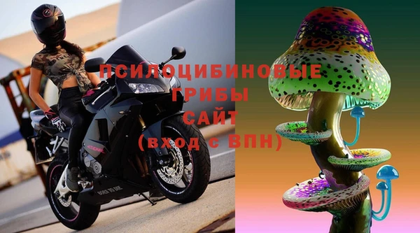 прущий лед Абаза