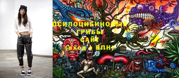 прущий лед Абаза