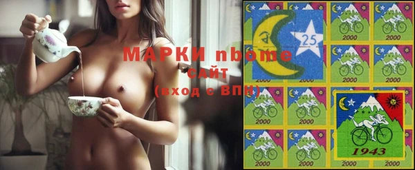 прущий лед Абаза